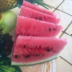 免费吃瓜头像,带你领略潮流趣味 第3张 免费吃瓜头像,带你领略潮流趣味 第3张